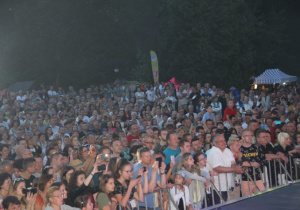 Zdjęcie ludzi oglądających występ w Amfiteatrze Parku Miejskiego podczas Dni Koluszek 2019