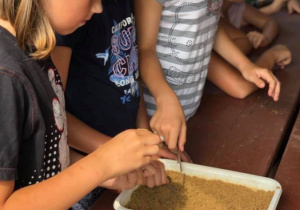 Zdjęcie uczestników warsztatów edukacyjnych w Leśnej Osadzie Edukacyjnej w Kole w ramach 7 Kolorowej Lokomotywy