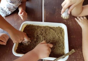 Zdjęcie uczestników warsztatów edukacyjnych w Leśnej Osadzie Edukacyjnej w Kole w ramach 7 Kolorowej Lokomotywy