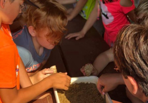 Zdjęcie uczestników warsztatów edukacyjnych w Leśnej Osadzie Edukacyjnej w Kole w ramach 7 Kolorowej Lokomotywy