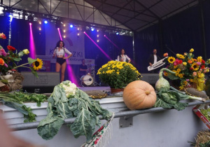 Zdjęcie Zespołu Andre wystepującego na scenie podczas Dożynek 2019