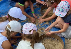 Zdjęcie przedstawia dzieci podczas warsztatów "Od ziarenka do bochenka" w Zagrodzie Edukacyjnej Konarzew Stajnia Lusi.