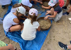 Zdjęcie przedstawia dzieci podczas warsztatów "Od ziarenka do bochenka" w Zagrodzie Edukacyjnej Konarzew Stajnia Lusi.