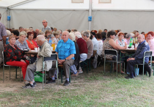 Zdjęcie przedstawia uczestników imprezy Piknik Seniora siedzących przy stołach biesiadnych