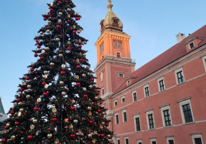 Zdjęcie przedstawia choinkę stojącą w okolicy Zamku Królewskiego w Warszawie