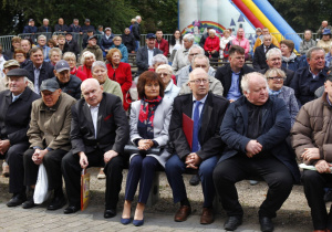 Zdjęcie zaproszonych gości oraz mieszkańców Gminy Koluszki w Amfiteatrze Parku Miejskiego podczas obchodów Dożynek 2022