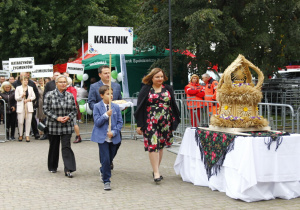 Zdjęcie przedstawicieli sołctw Gminy Koluszki przed złożeniem darów władzom Gminy