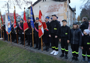 Zdjęcie przedstawia uczestników podczas Uroczystych Obchodów Narodowego Święta Niepodległości przy Pomniku Orła Białego w Koluszkach